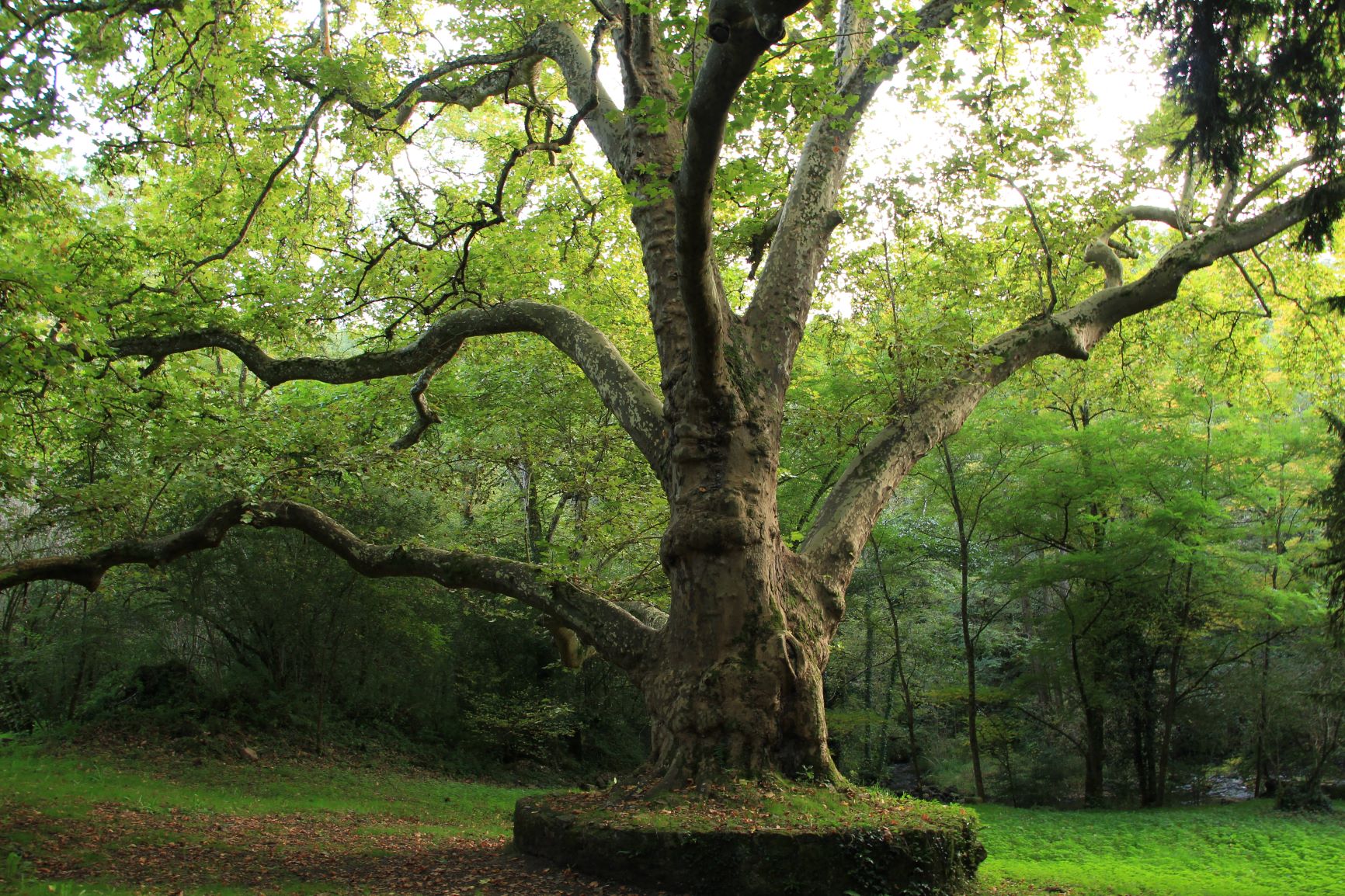 Visiter Chéronnac, Chéronnac - photo 4