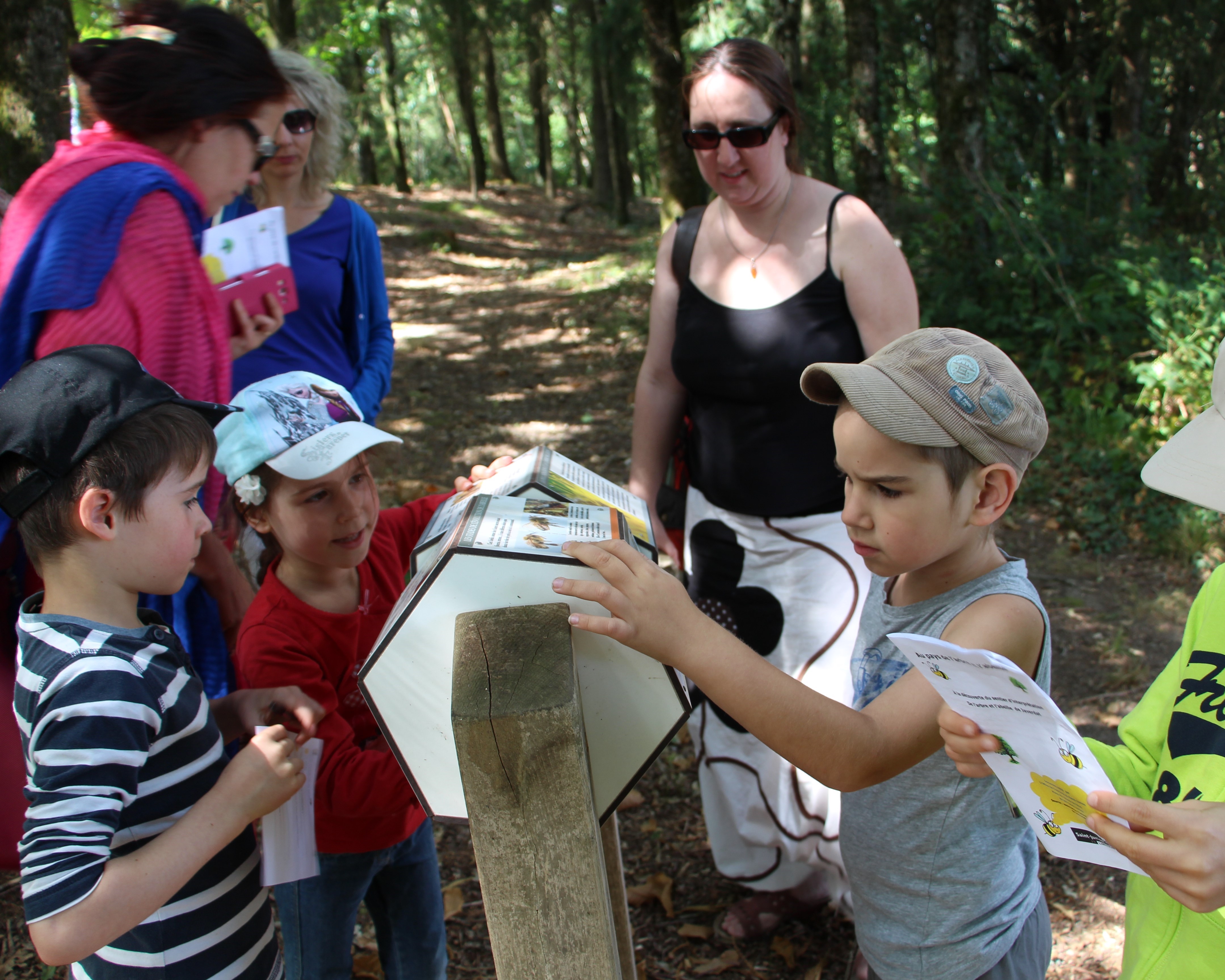 Le sentier de l'arbre et de l'abeille - photo 2