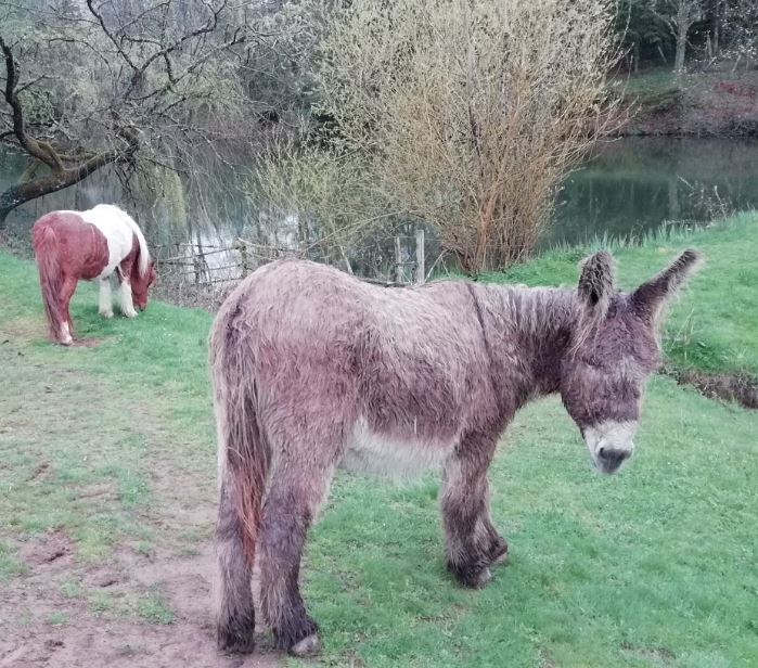 Ferme pédagogique de la Terr'Happy