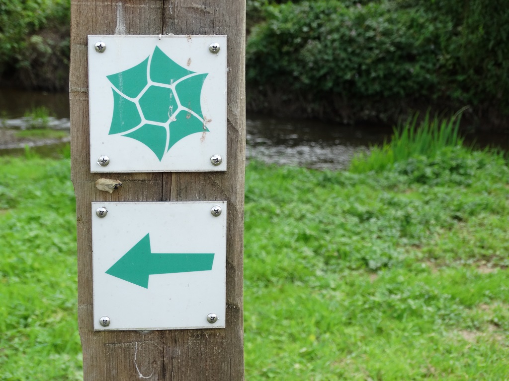 Sentier d'interprétation de l'étang, Rochechouart - photo 2