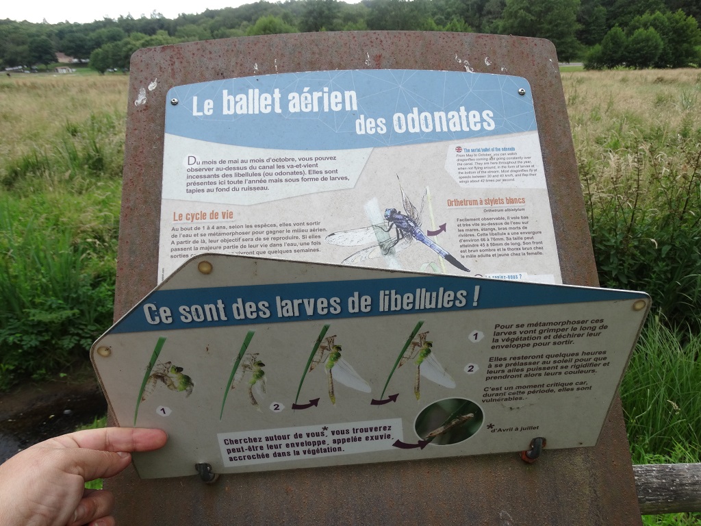 Sentier d'interprétation de l'étang, Rochechouart