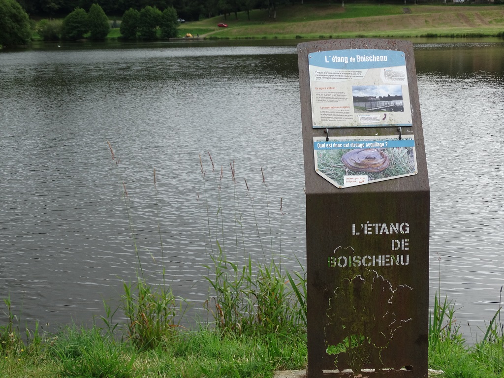 Sentier d'interprétation de l'étang, Rochechouart - photo 4