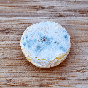 Au Bouc du Monde - photo 4