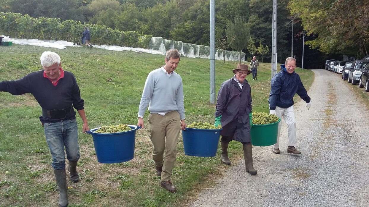 Les Vignes du Repaire de Noblat — photo 2