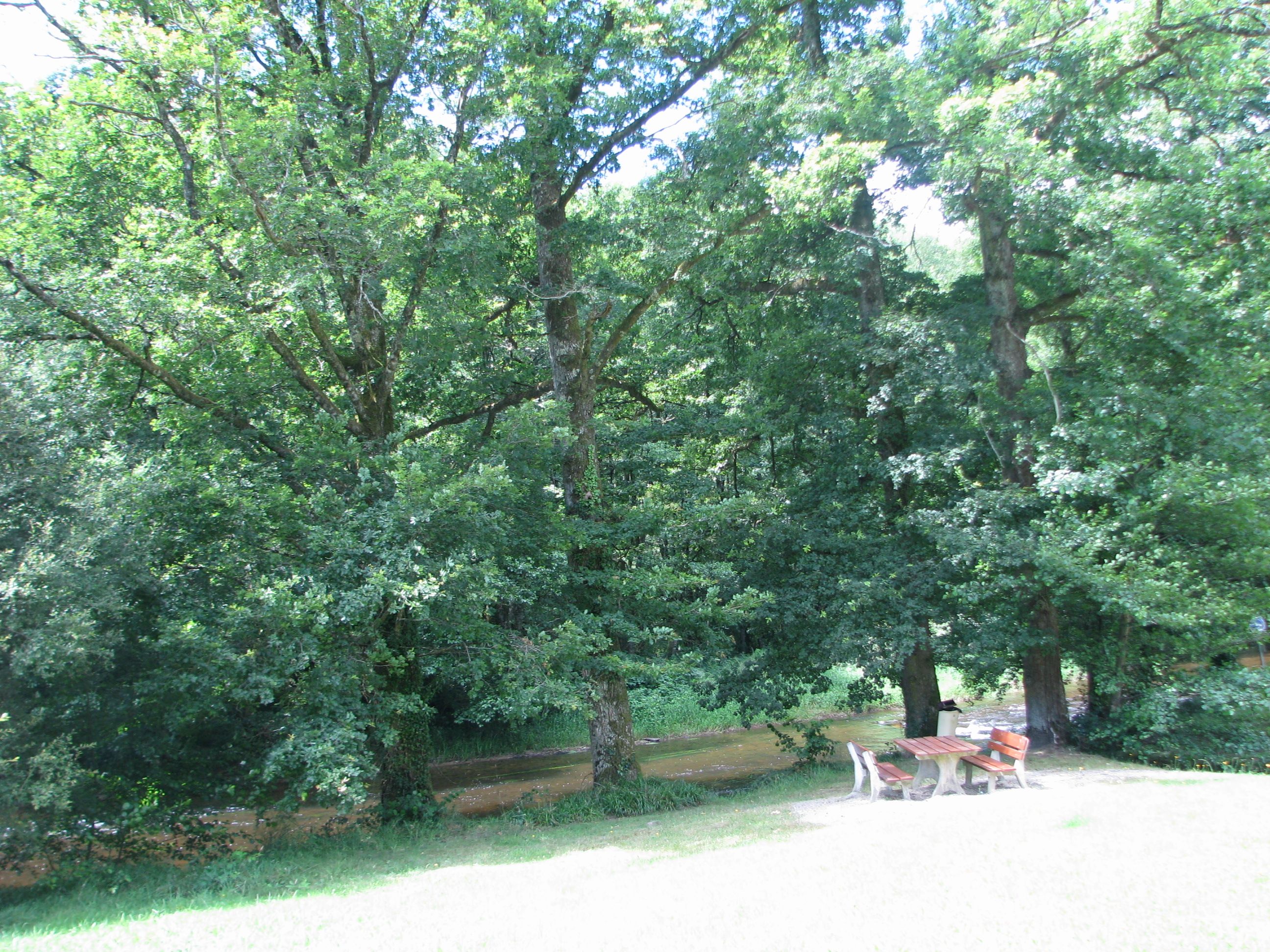 Parcours de Pêche No Kill, Eymoutiers - photo 3