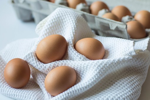 Les oeufs de Nina