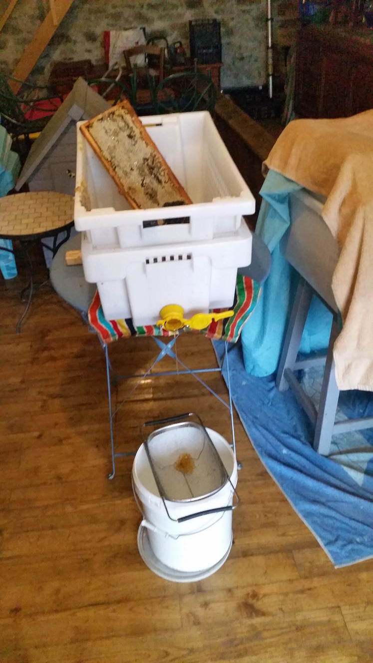 Mélissa Miel - photo 4