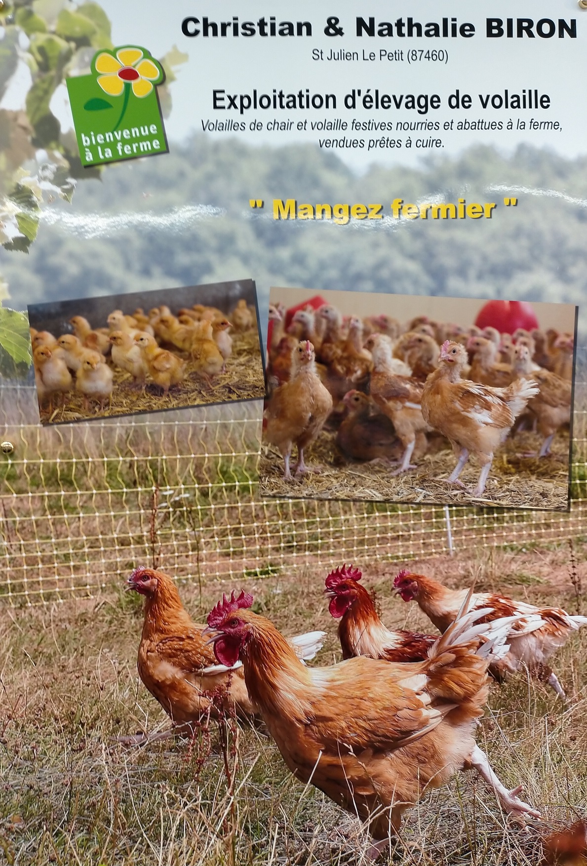 Volailles de la Ferme de Chatreix — photo 3