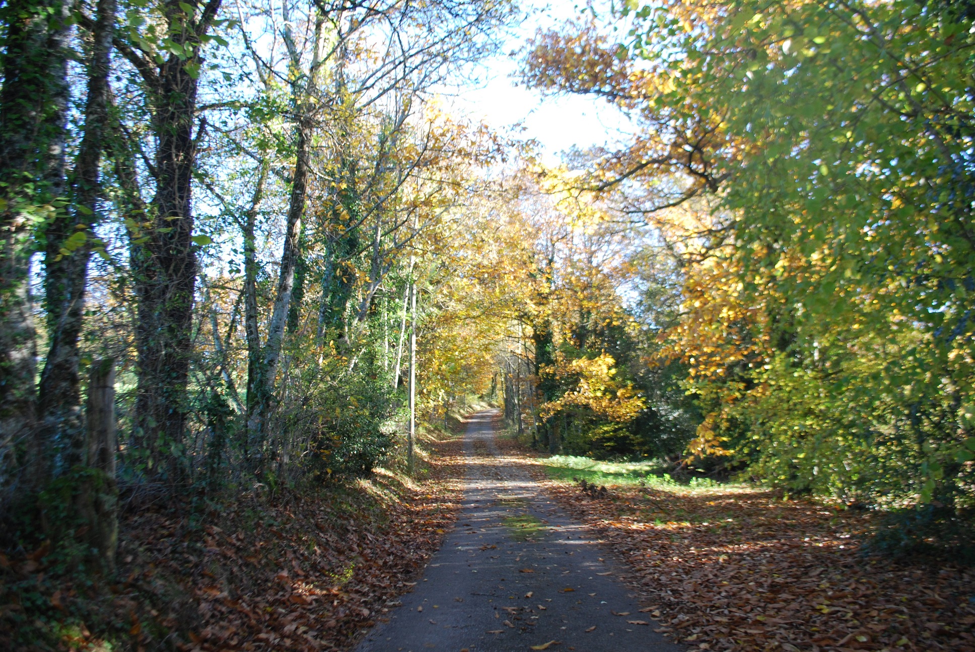 Chambres d’hôtes Référence Maison du Masjoubert - photo 5