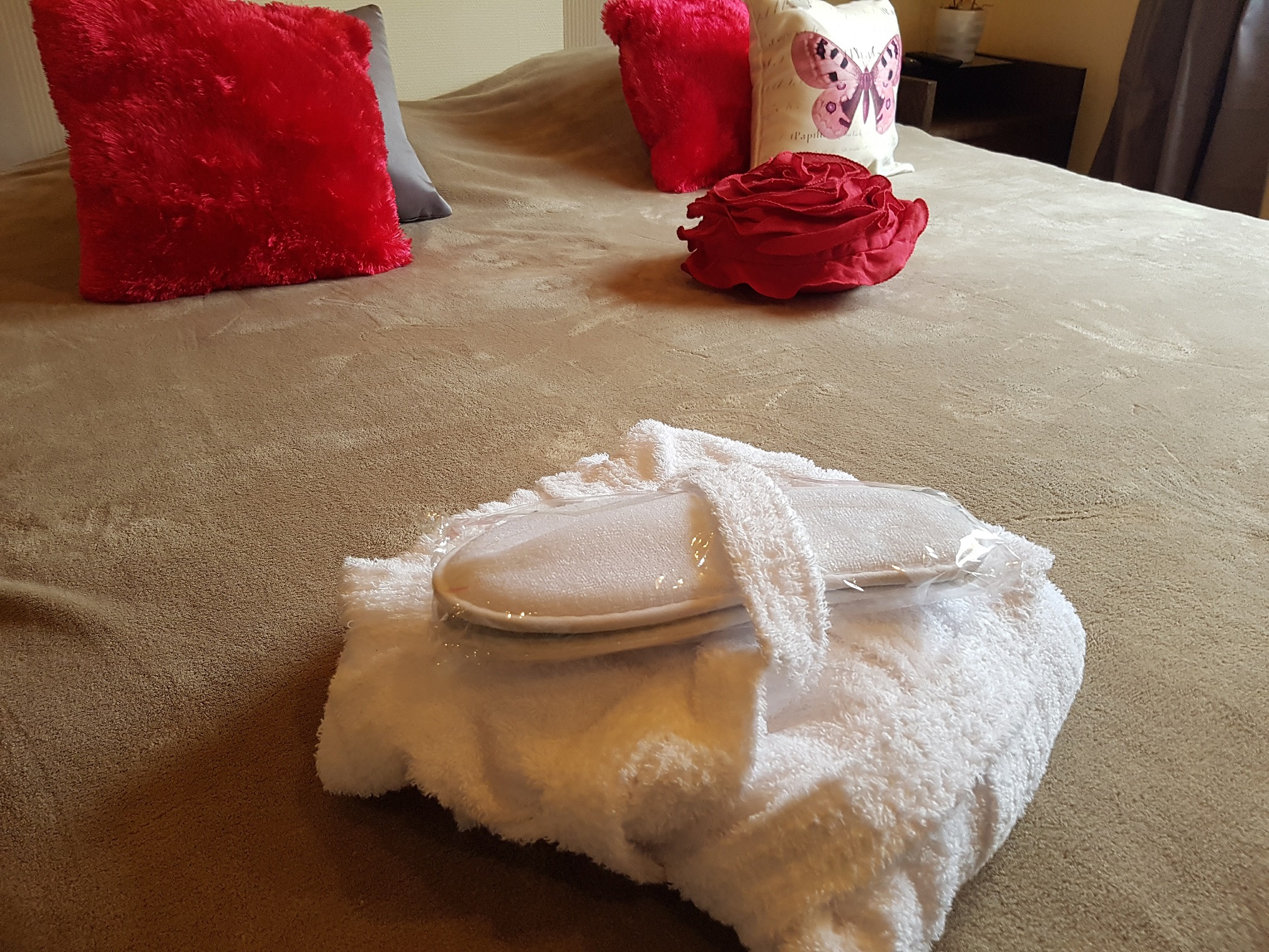 Chambres d’hôtes Référence Maison du Masjoubert - photo 3