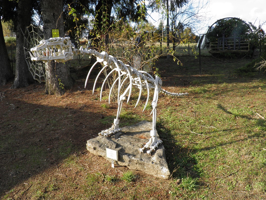 Musée de la Récup', Eymoutiers - photo 8