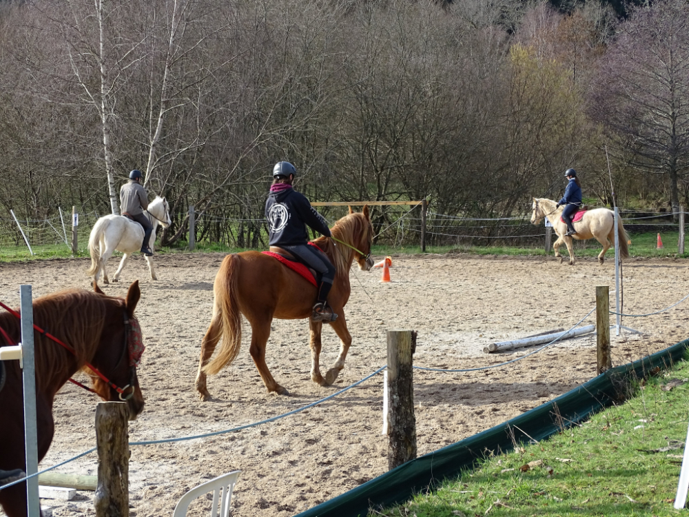 Centre équestre Les Abeilles - photo 3