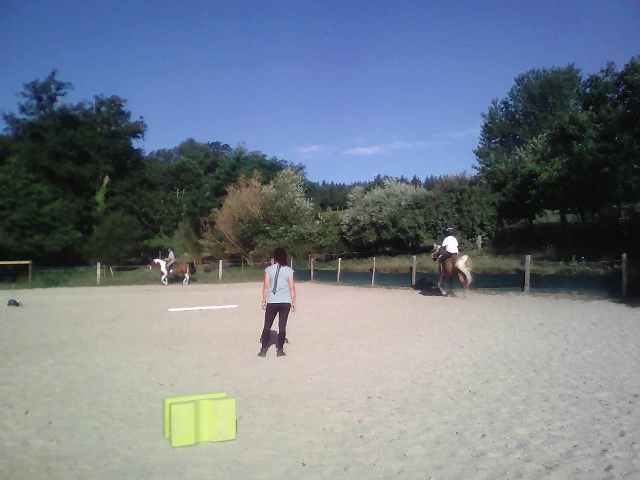 Centre équestre Les Abeilles - photo 2