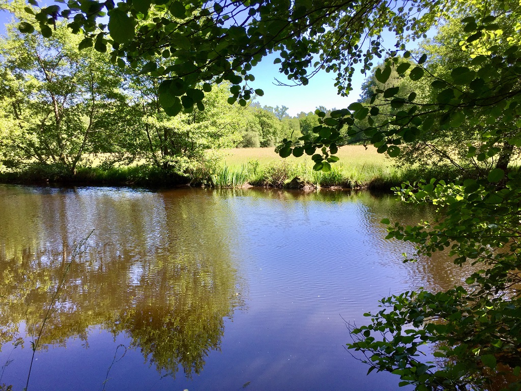 La Vienne et les Gorges de la Vienne, Eymoutiers - photo 3