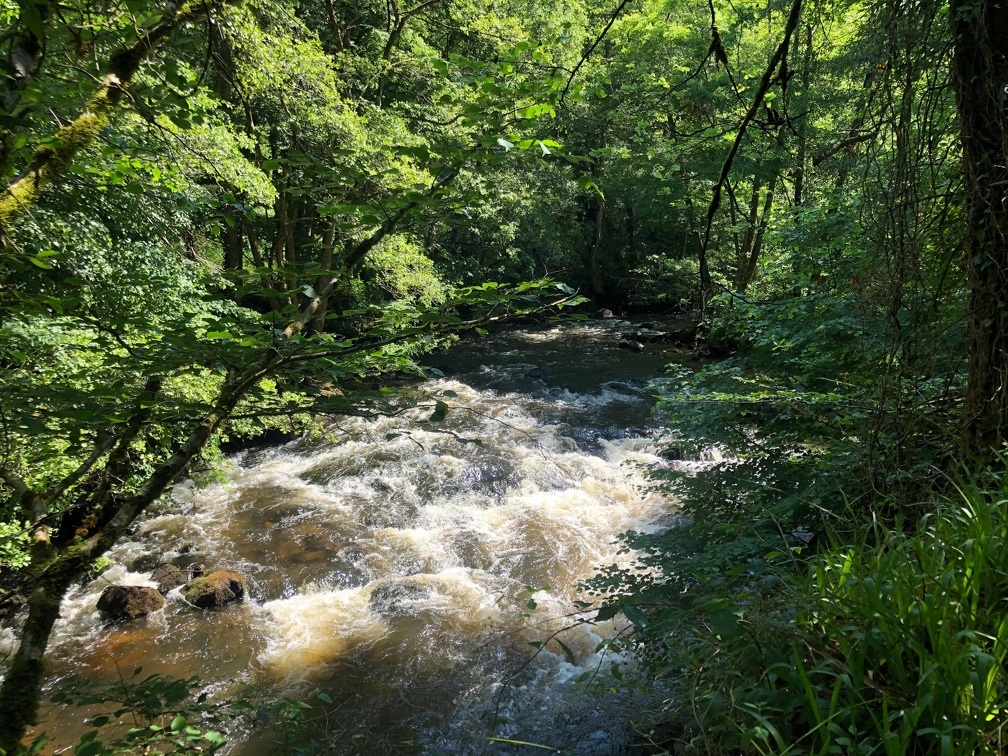 La Vienne et les Gorges de la Vienne, Eymoutiers