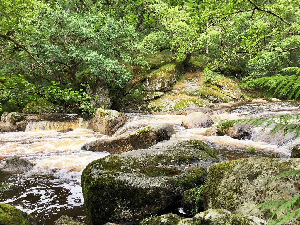 Les Rochers de Négremont - photo 3