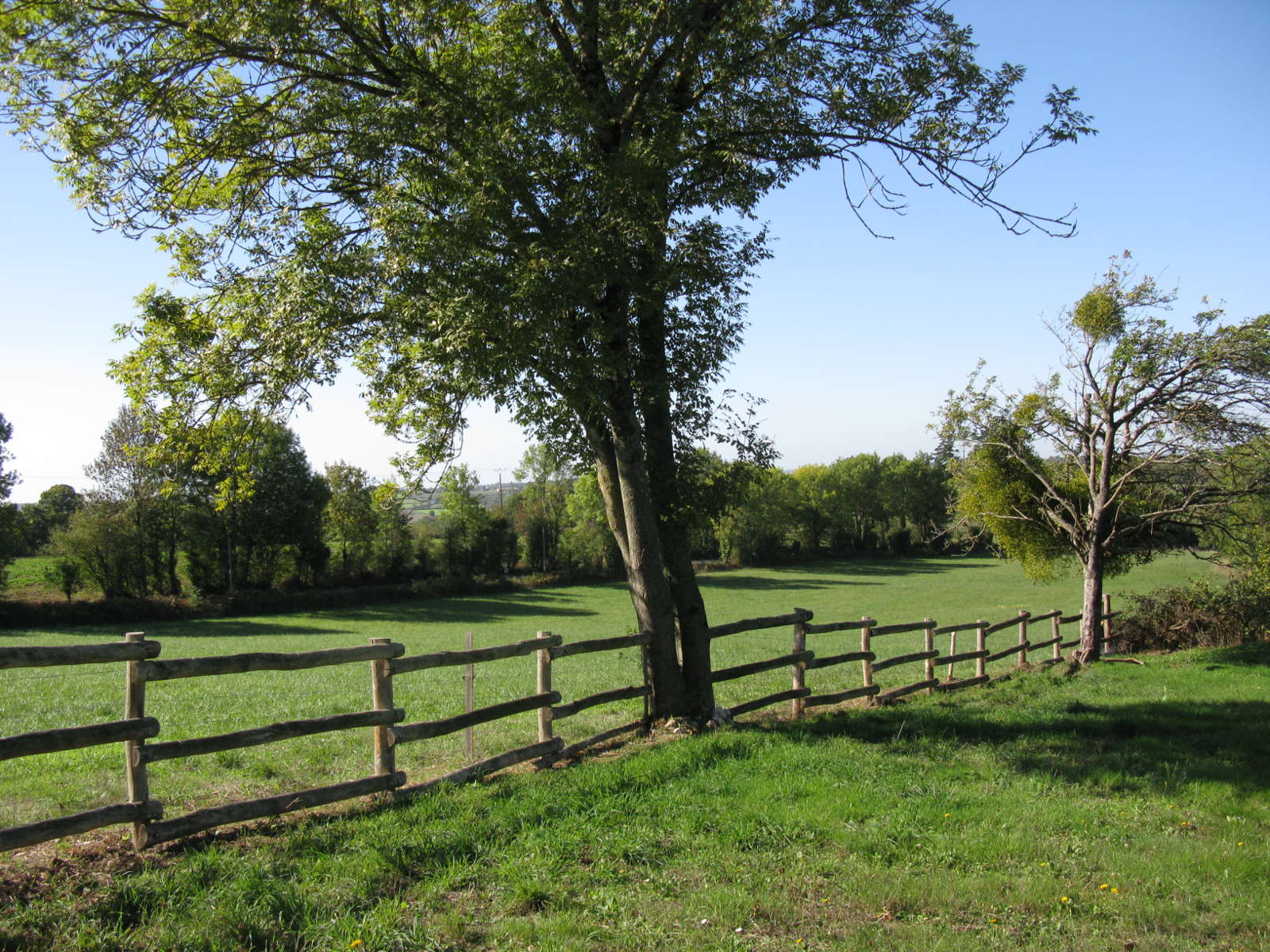 Gîte de la Fazilière, Vernoux-en-Gâtine - photo 10