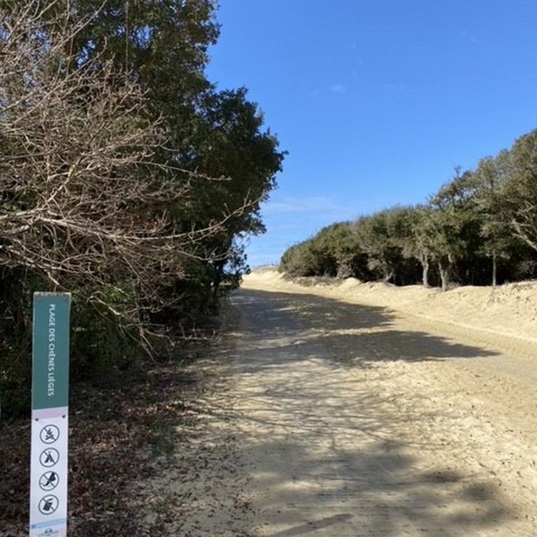 Entre Dune et Golf, Moliets-et-Maa - photo 5