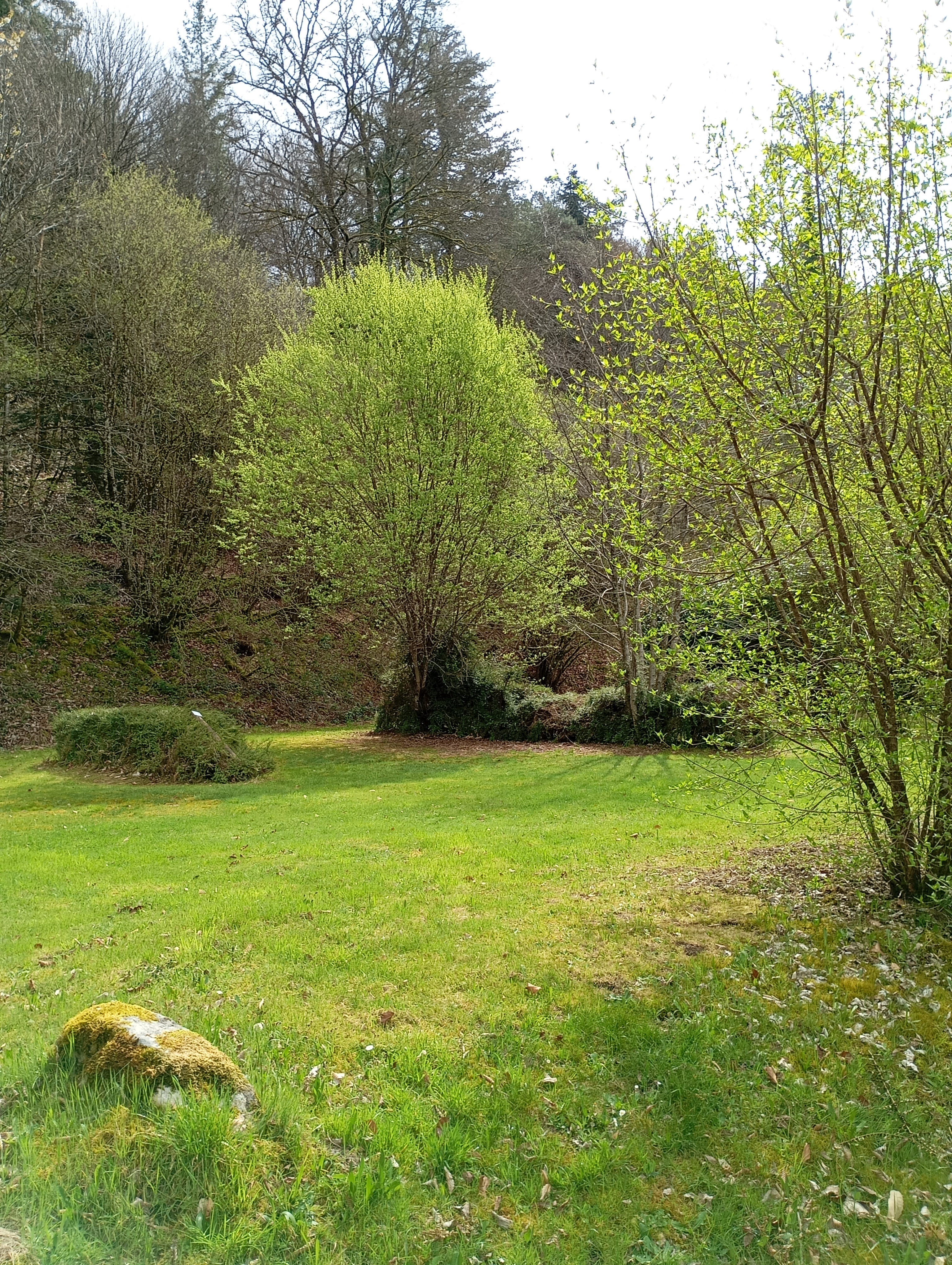 Le Corrèze, Corrèze - photo 15
