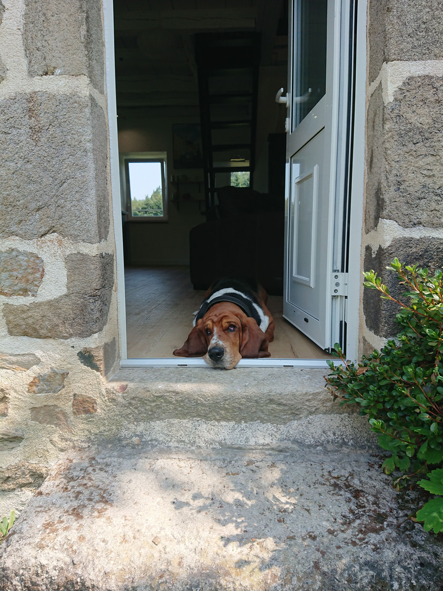 Gîte d'Hublange, Bar - photo 10