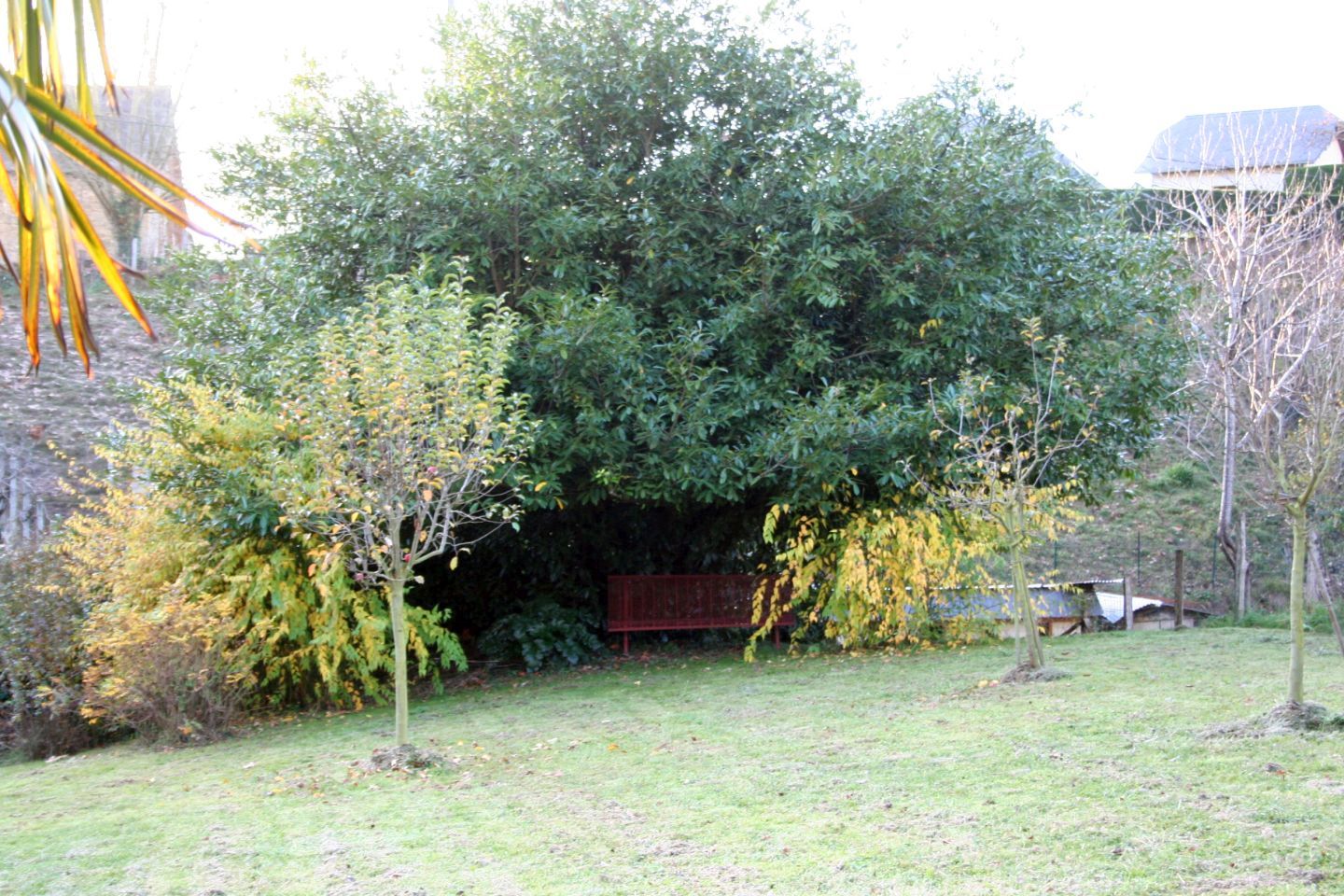 Maison Bergès, Barcus - photo 11