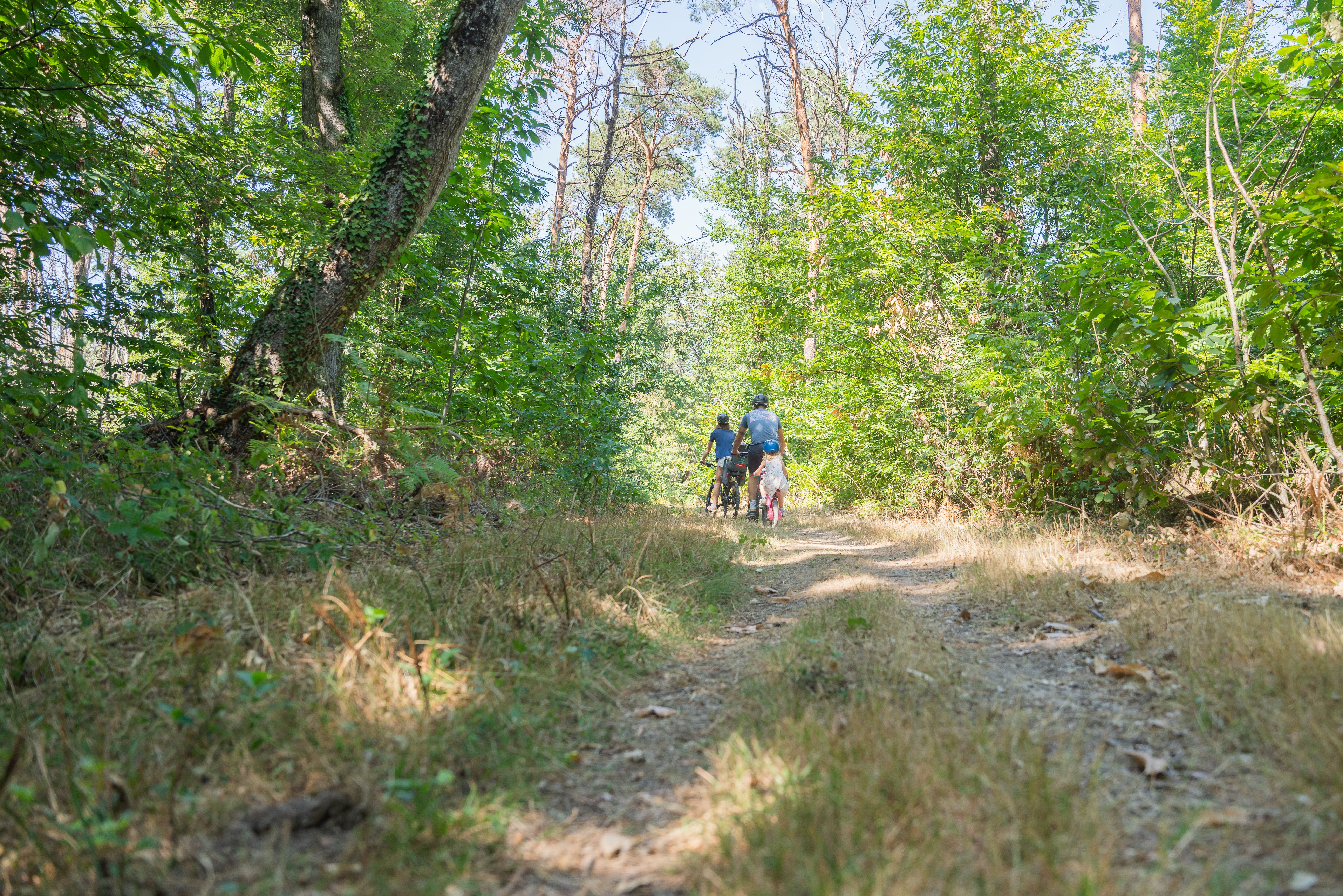 Sur les Pas d'André Theuriet - photo 2