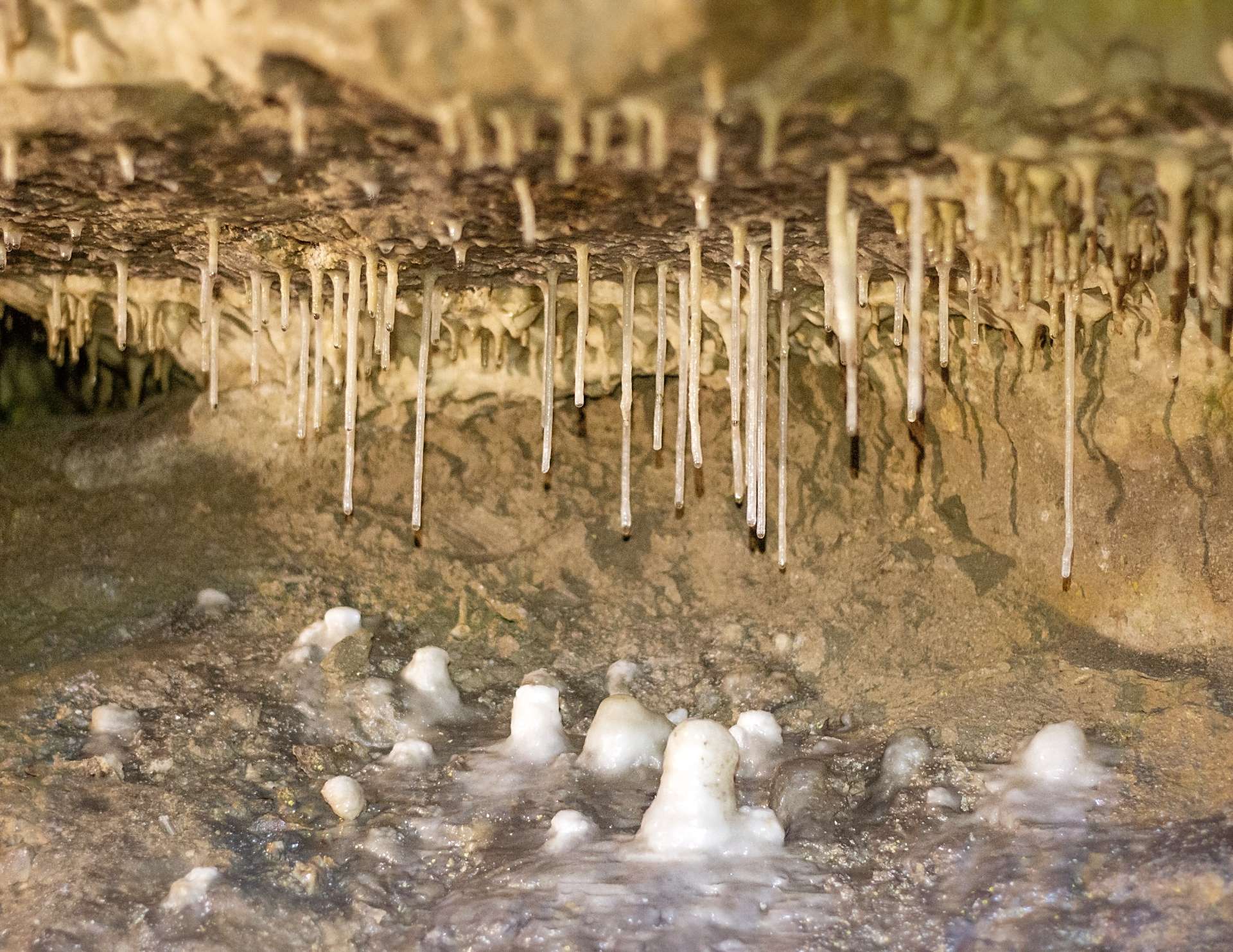 Grotte Célestine, Rauzan - photo 3