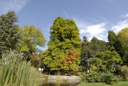Parc Victor Thuillat — photo 2
