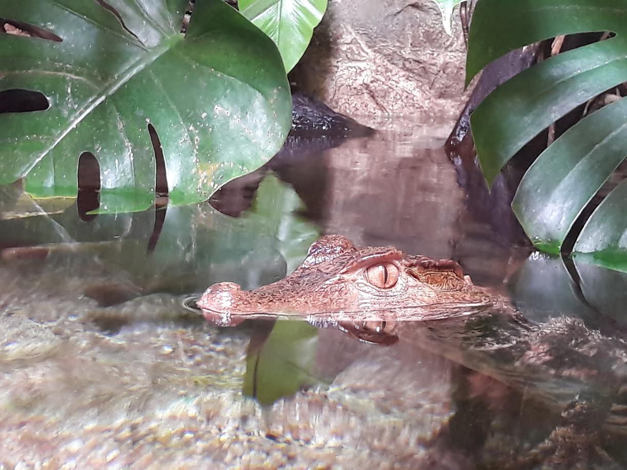 Aquarium du Limousin - photo 5