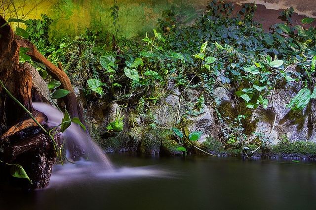 Aquarium du Limousin - photo 4