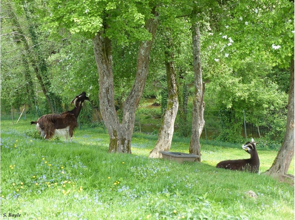 Parc de l'Aurence, Limoges - photo 3