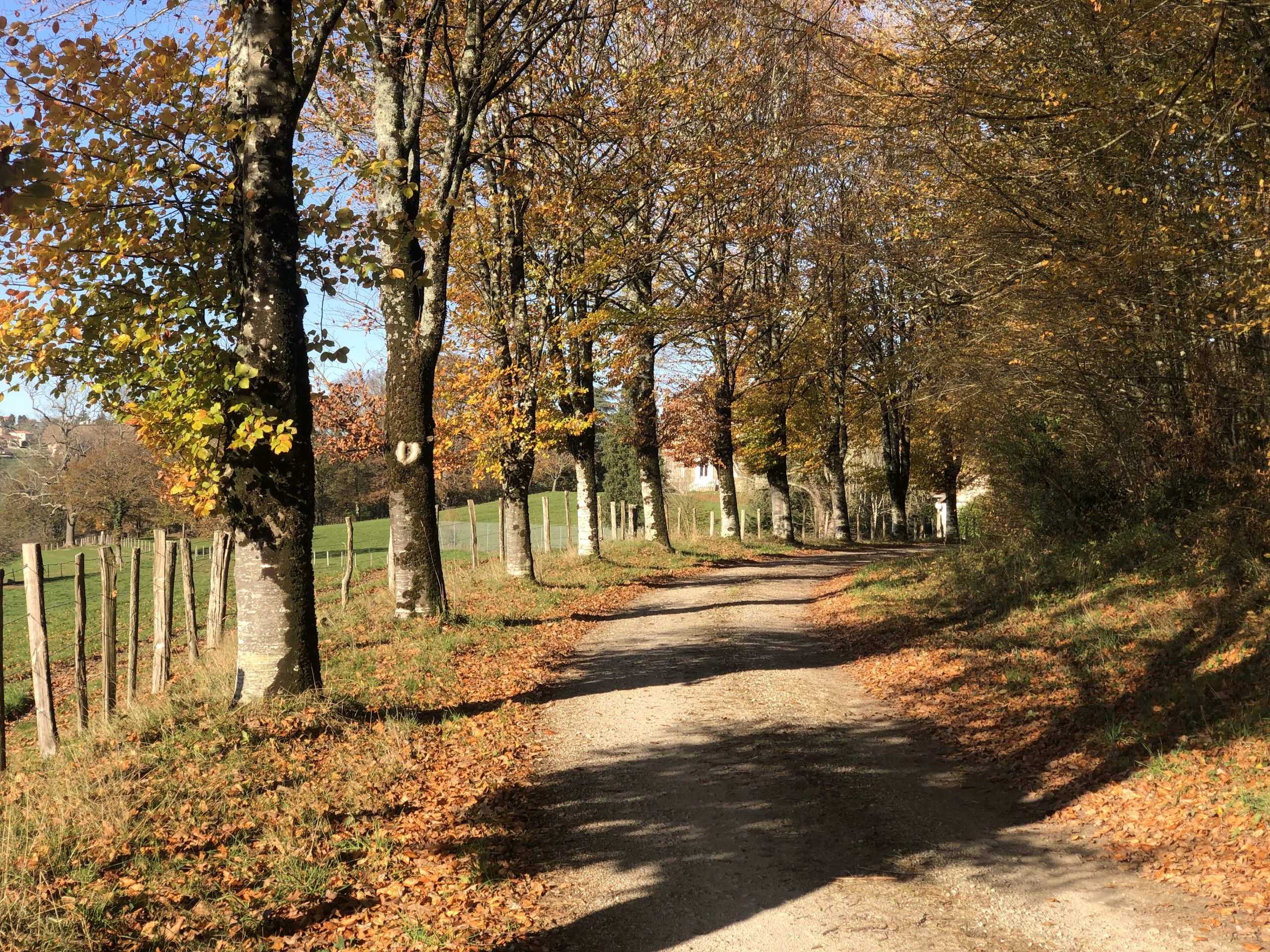 Chambre d'hôtes Château Les Villettes, Saint-Just-le-Martel - photo 3