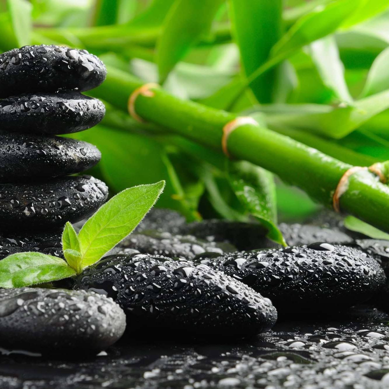 Eupraxie Limoges - Soins bien-être