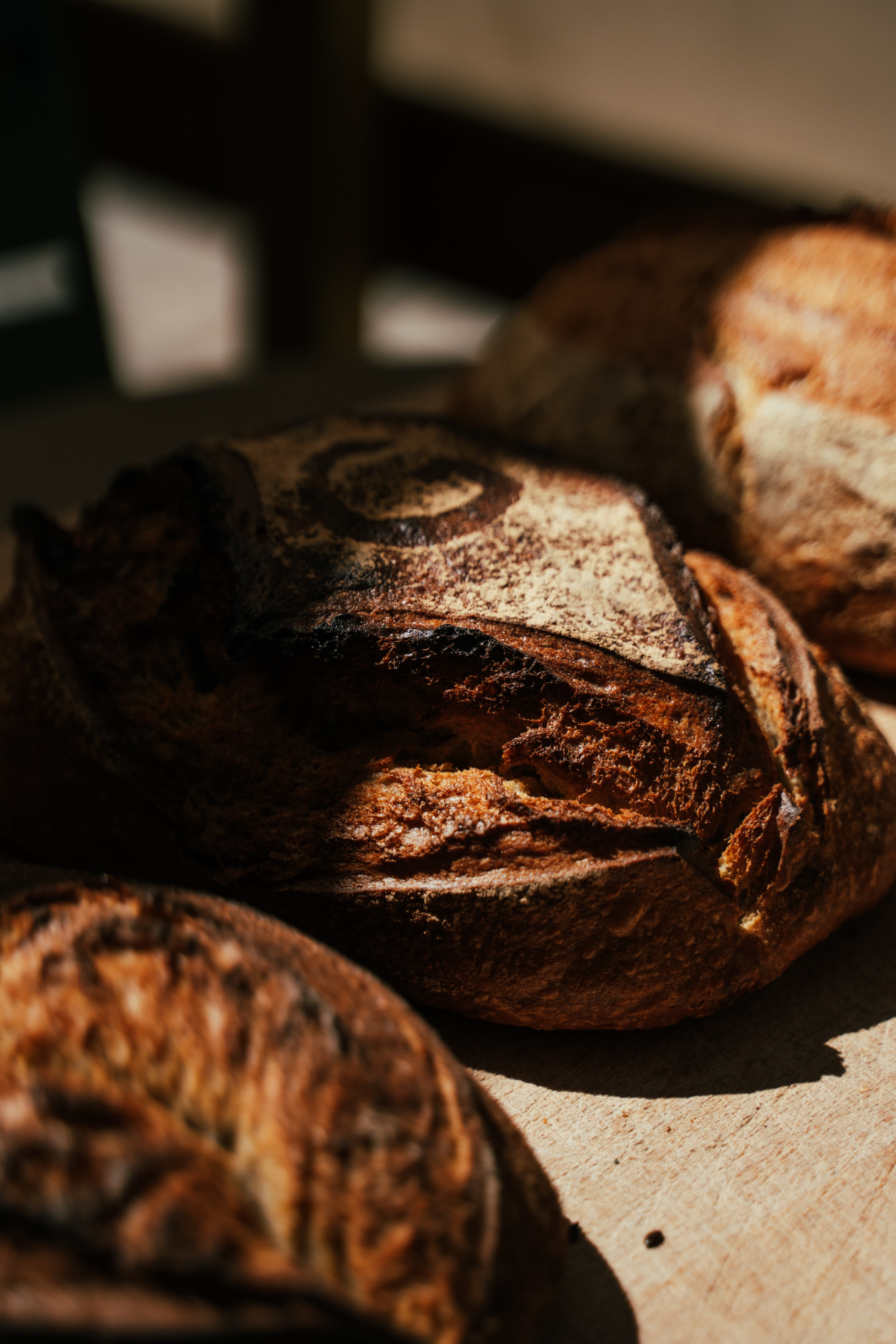 Le Fournil de Dylan — photo 2