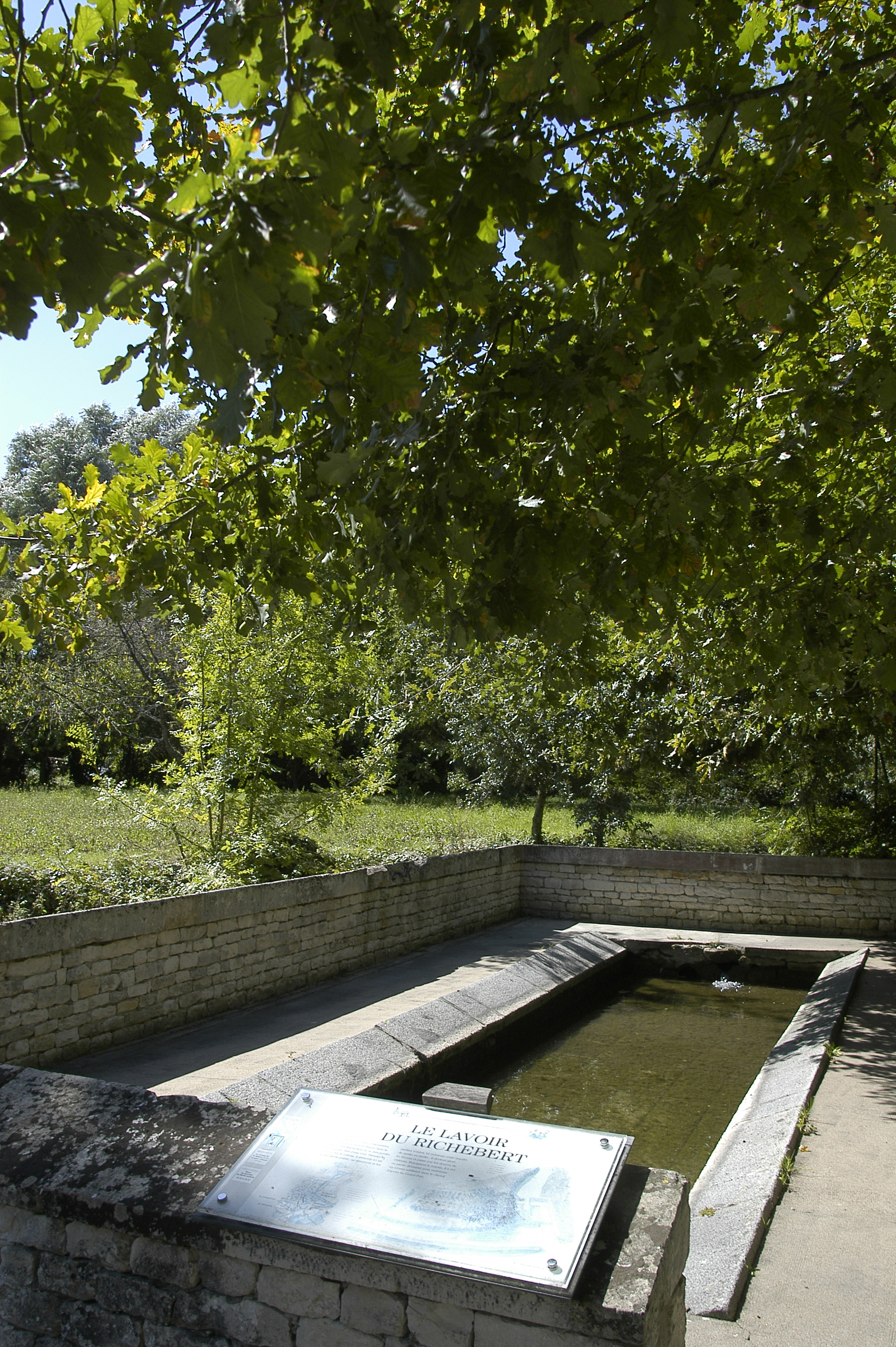 Saint-Georges-de-Rex et son marais préservé, Saint-Georges-de-Rex - photo 7