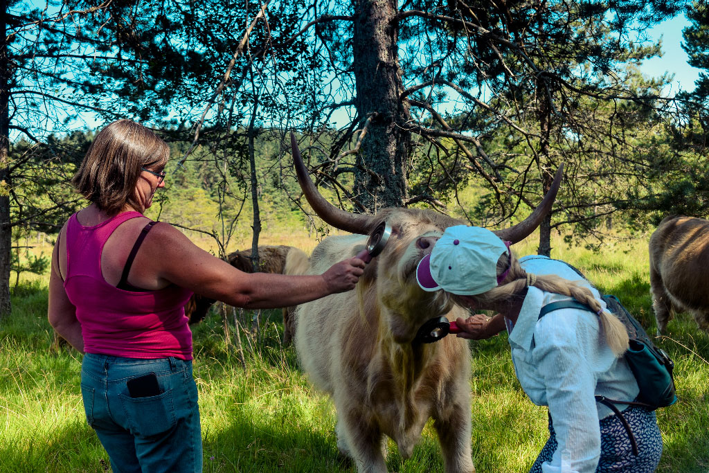 La ferme de Jolie Fleur, Péret-Bel-Air - photo 2