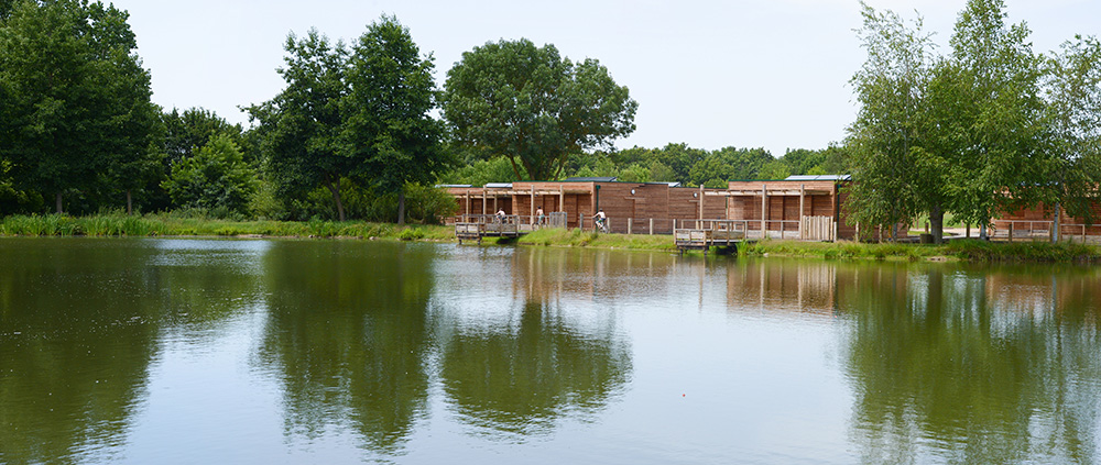 Photo Camping Les Adillons