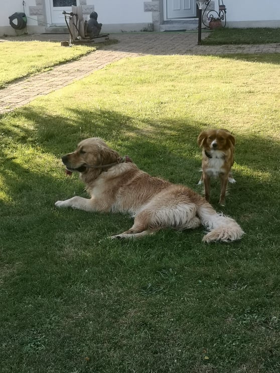 Chambres d'hôtes "Les Mésanges", Combrand - photo 11