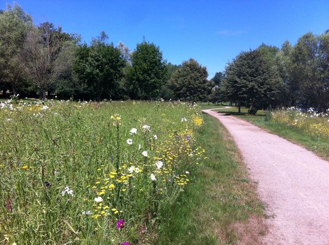 Jardin en Mouvement - Promenade Gilles Clément — Parks & Gardens à Haute-Vienne