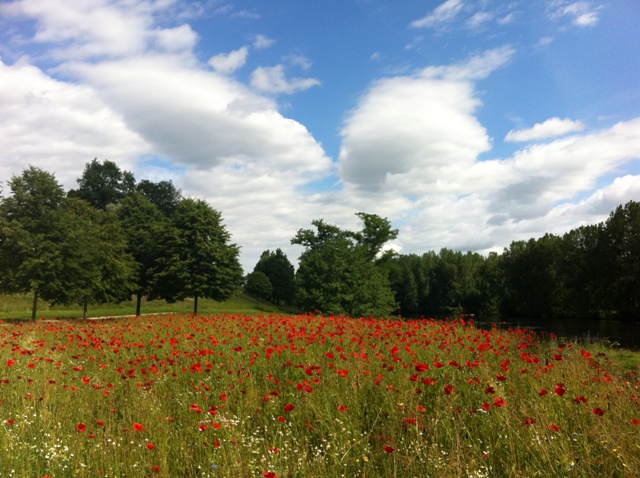 Jardin en Mouvement - Promenade Gilles Clément, Aixe-sur-Vienne - photo 3