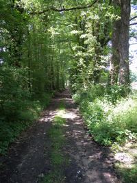 Sentier d'interprétation des bords de Vienne, Aixe-sur-Vienne - photo 2