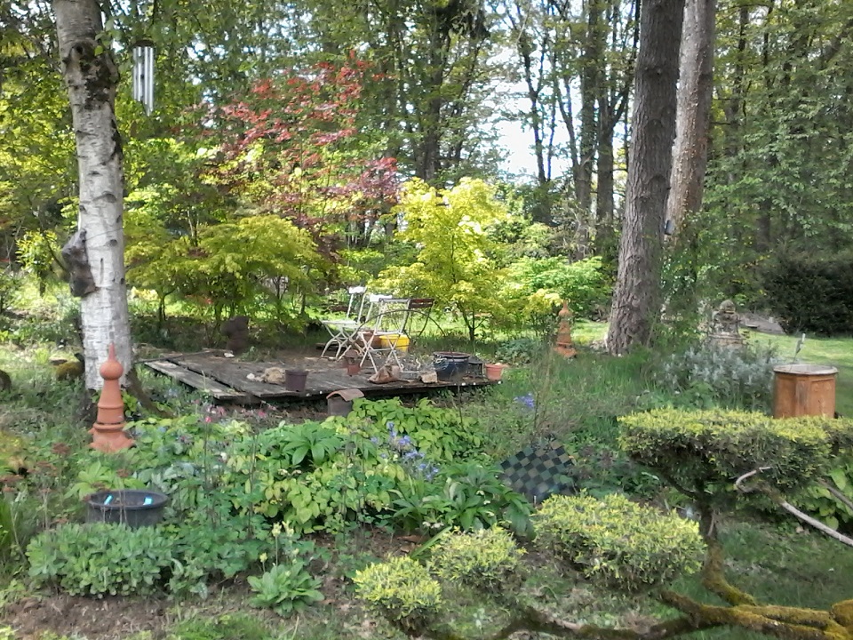 Jardin Hydrangéas et Cie, Burgnac - photo 4