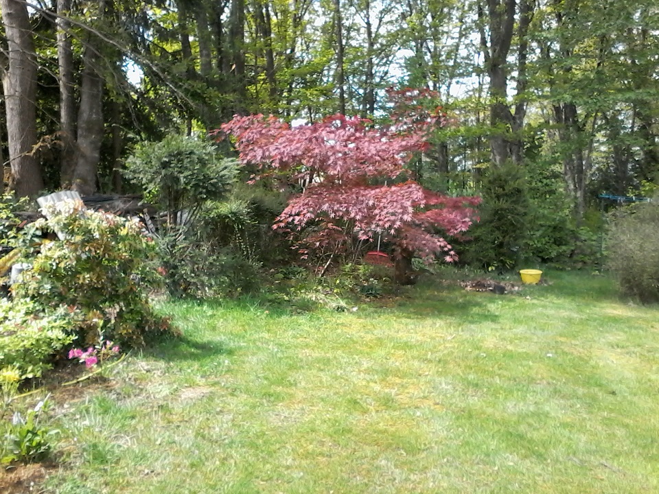 Jardin Hydrangéas et Cie, Burgnac - photo 5
