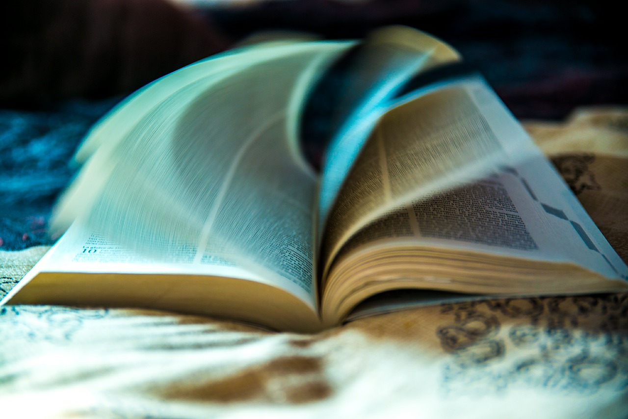 Bibliothèque municipale de Saint-Priest-sous-Aixe