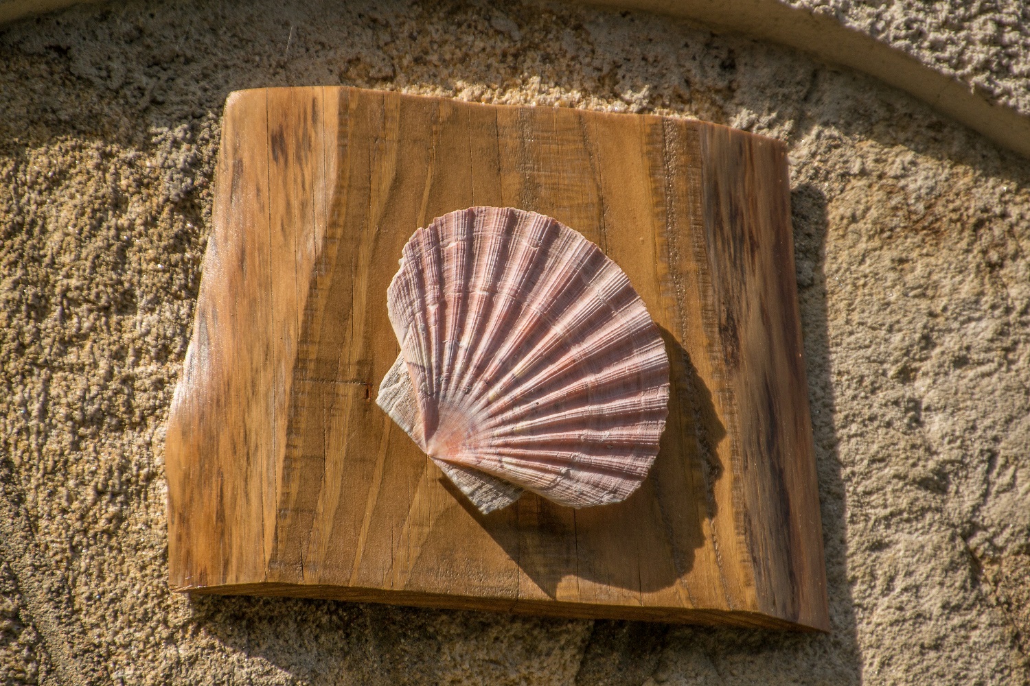 La Petite Maison - Chambre d'étape pèlerins - photo 5
