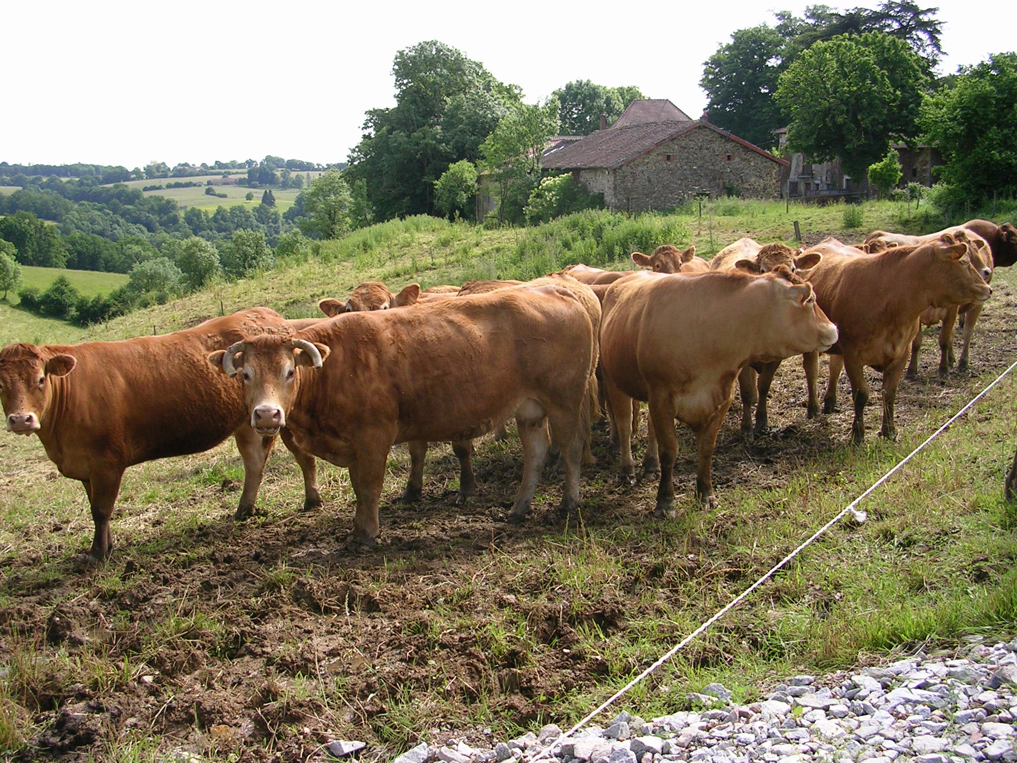 Circuit des écureuils, Beynac