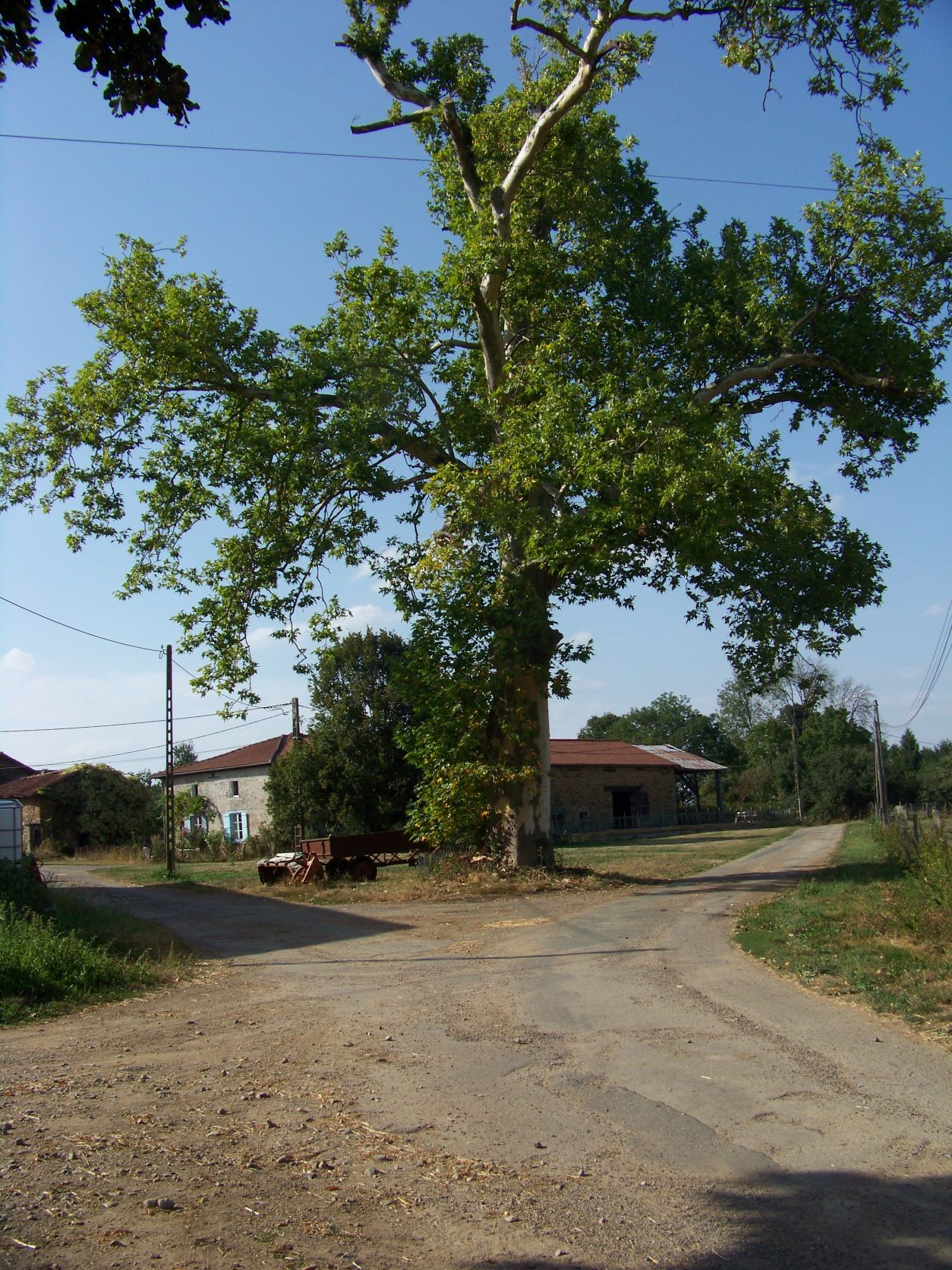 Circuit Les hauts de Beynac