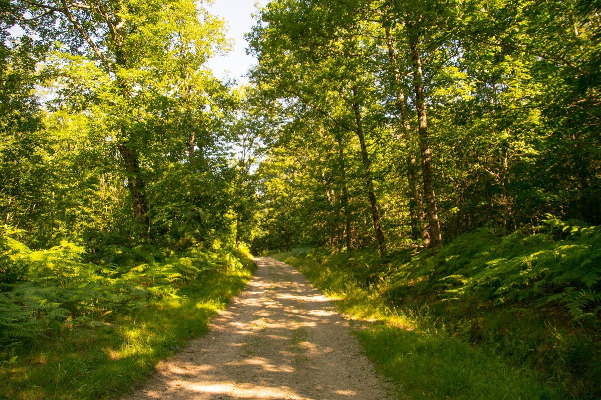 Sentier de la croix du loup