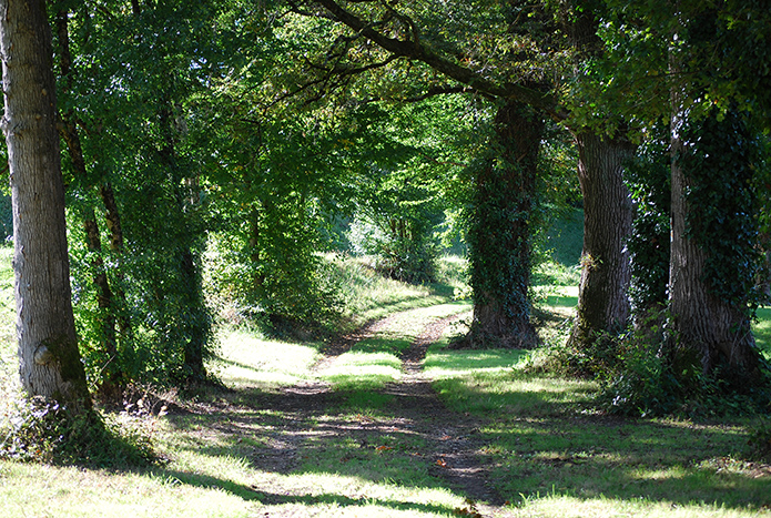 La Boucle VTT de Bosmie l'Aiguille - Circuit n°3 Val de Vienne Tour