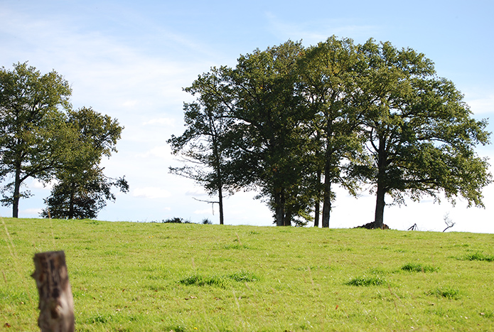 La Boucle VTT d'Aixe-sur-Vienne - Circuit n°2 Val du Val de Vienne Tour — Vélo & VTT à Haute-Vienne